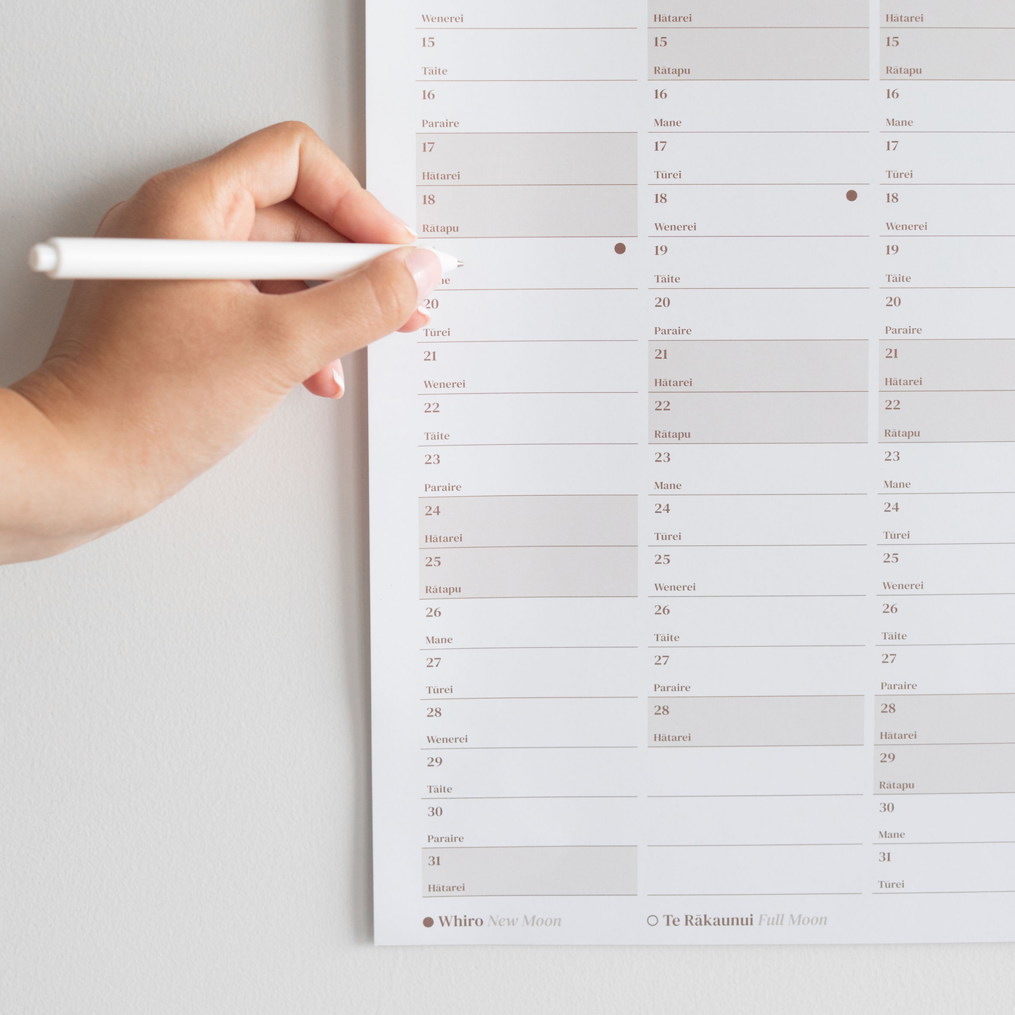 2026 A1 Yearly Wall Planner | Parauri