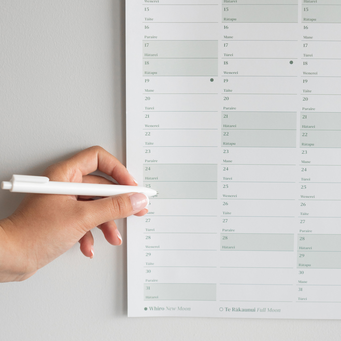 2026 A1 Yearly Wall Planner | Kākāriki